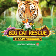 Big Cat RescueMegaways